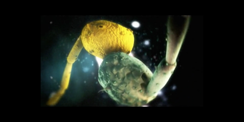 SENNHEISER - NANO NOTES