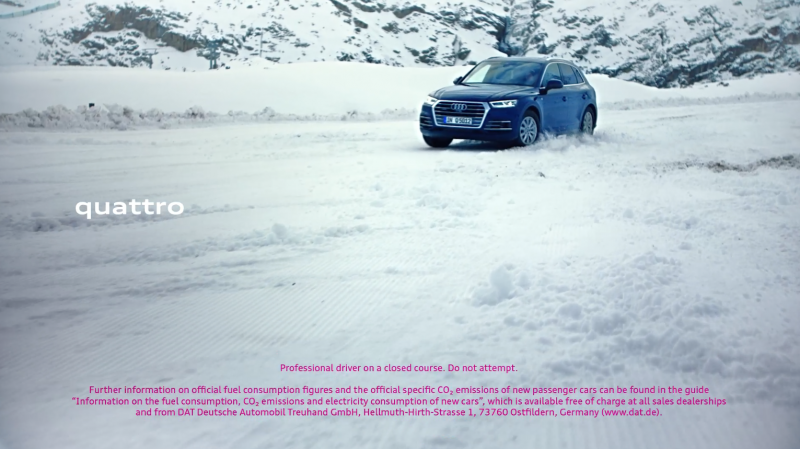 AUDI QUATTRO PINGUINE